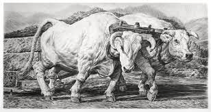 This image has an empty alt attribute; its file name is image-2.png